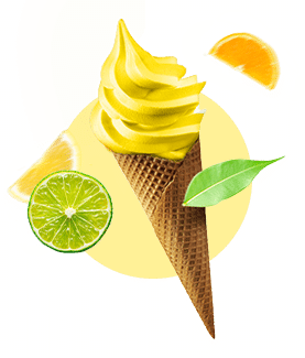 SORBETO Citrusové yuzu, 1 kg